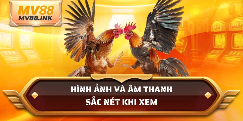 Hình ảnh và âm thanh sắc nét khi xem