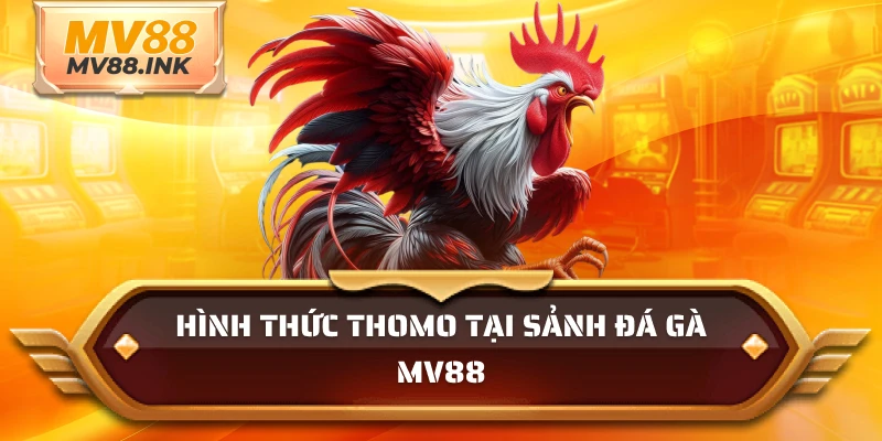 Hình thức thomo tại sảnh đá gà MV88