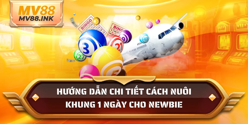 Hướng dẫn chi tiết cách nuôi khung 1 ngày cho newbie