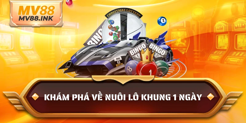 Khám phá về nuôi lô khung 1 ngày