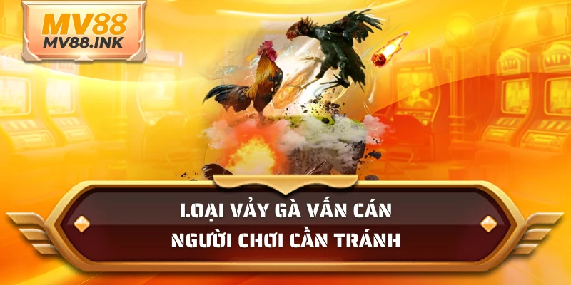 Loại vảy gà vấn cán người chơi cần tránh