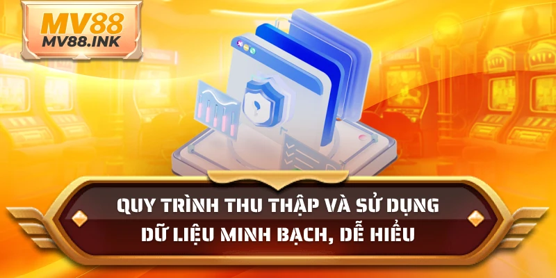 Quy trình thu thập dữ liệu tài chính minh bạch, dễ hiểu
