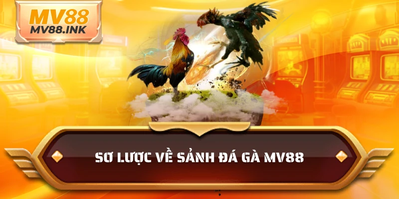 Sơ lược về sảnh đá gà MV88