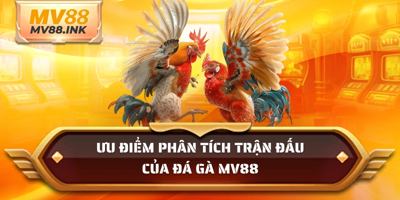 Ưu điểm phân tích trận đấu của đá gà MV88