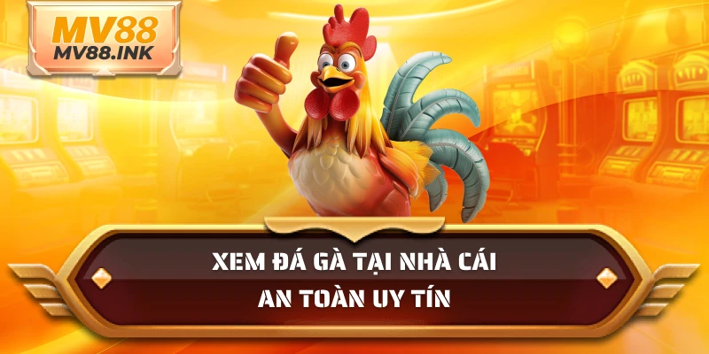 Xem đá gà tại nhà cái an toàn uy tín
