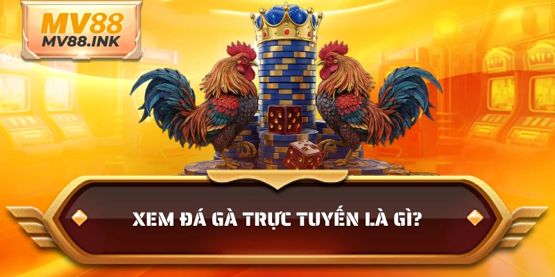 Xem đá gà trực tuyến là gì?